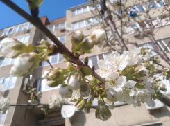 В последний день марта над Новороссийском выглянет солнце