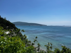 Погода в Новороссийске: солнышко светит, птички поют