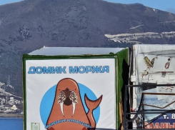 На пляжах Новороссийска установят крытые раздевалки для «моржей» 