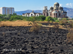 Пожар в Суджукской лагуне в Новороссийске: возможные причины и последствия 
