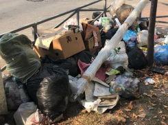 Новороссийцы загрязнили родной город на 5,6 миллионов рублей