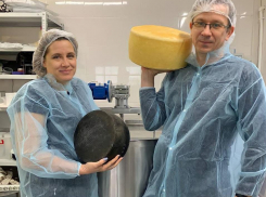 Любителям белого, жёлтого, с плесенью и без посвящается