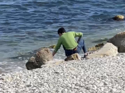 Вот так загрязняют море Новороссийска: жители засняли на видео 