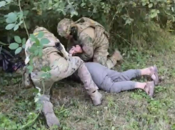 В Краснодаре задержали подозреваемого в подготовке атаки на военного: ФСБ раскрыла детали дела