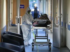 Новороссийск оказался вторым в крае по заражениям  COVID-19