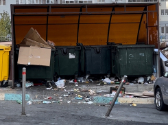 Новороссийцы «в восторге» от зловонной жижи после вывоза мусора