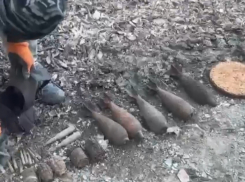 Без могилы: останки солдата-красноармейца обнаружили в Новороссийске 