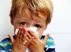 С соплями не приводите: в школах Новороссийска заработал «утренний фильтр»