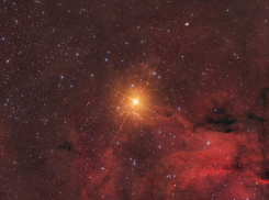 Гороскоп от “Блокнота” на 16-ое ноября — Ракам стоит проявить снисходительность, а Козерогам правильно выбирать союзников