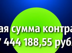 Ольга Криштопа за год заработала на детях Новороссийска более 130 миллионов