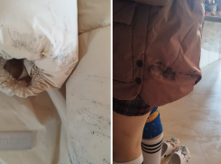 Грязные маршрутки Новороссийска портят одежду детям 