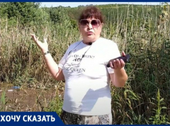 Новороссийцы уверены: Абрау-Дюрсо находится на грани экологической катастрофы