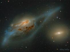 Гороскоп от “Блокнота” на 21 марта: Ракам, Львам и Девам особенно нужна поддержка близких