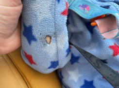 Прожгло руку малыша: брошенный окурок попал в коляску с младенцем в Новороссийске 