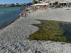 Суджукской лагуной займутся всерьез: Минприроды заключило контракт на разработку проектной документации по расчистке
