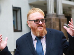 «Тарелочницы» - дешевыё «ночные бабочки»: Милонов раскритиковал мужчин, которые встречаются с кушающими бесплатно дамами