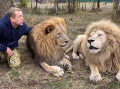 «Я воскрес»: как сегодня себя чувствует владелец сафари-парка, которого покусали львы