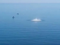 Взрывоопасные находки обезвредили водолазы в районе Новороссийска