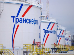 Ситуация с Новороссийским морским торговым портом нанесла ущерб интересам «Транснефти»