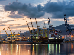 Миллион тонн зерна отгрузят в порту Новороссийска для нуждающихся стран Африки