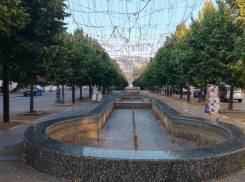 Новороссийск больше не увидит «Звездное небо»