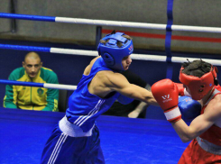 Данил Капустов из Новороссийска - третий на Всероссийских соревнованиях по боксу