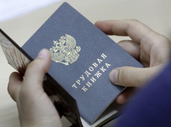 Ищу работу: сложно ли трудоустроиться в Новороссийске