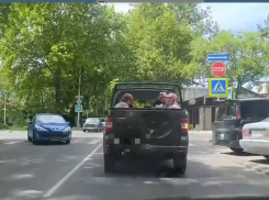 Нелегальный джиппинг «накрыли» в Анапе 