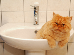 Микрорайон Новороссийска остался без холодной воды 