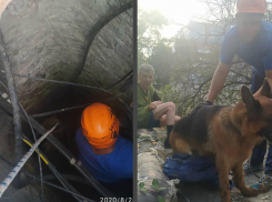 Новороссийские спасатели вызволили пса, упавшего в колодец: история спасения