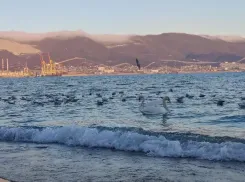 Погода в Новороссийске: тепло и пасмурно