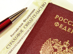 Новороссийцы получат электронные уведомления вместо СНИЛС-а