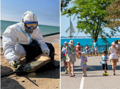 Согласны ли россияне «провести отпуск не на пляже»? Общественная палата просит пересмотреть отдых в Анапе 