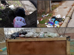 Новороссиец объявил борьбу «свиньям» на улицах города