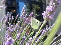 Гороскоп от «Блокнота»: Близнецы будут спешить всё успеть, а Тельцы уделят время близким