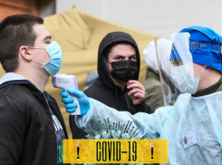 Сколько новых заболевших коронавирусом в Новороссийске 