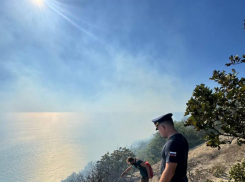 Анапа лишилась 7.3 га лесного фонда