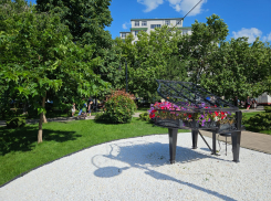 Погода в Новороссийске: ещё один солнечный и спокойный летний день 