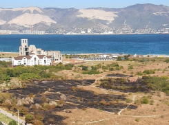 Пожар в Прилагунье: активисты настаивают на возбуждении уголовного дела 