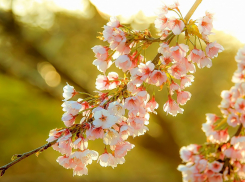 Вперед на прогулку: новороссийцев ждет очень теплый день 