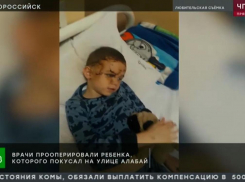 Новороссийское происшествие привлекло внимание федеральных СМИ