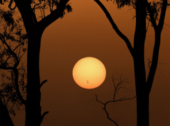 Гороскоп от “Блокнота” на 14 мая: знакам стоит быть более внимательными к деталям