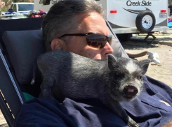 Новые «герои» общественного транспорта: салон маршрутки в Новороссийске залили пивом