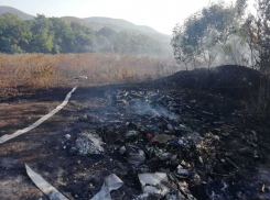 Почти гектар травы сгорел под Новороссийском