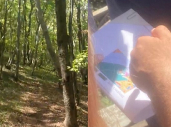 Если не кладбище? Что должно появиться в Приморском районе вместо погоста