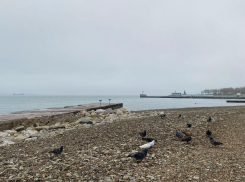 Погодка преподнесёт новороссийцам опасное сочетание