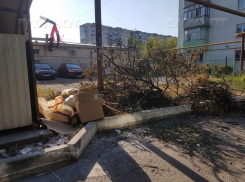 Больше года на злосчастную мусорку жалуются жители Южного района Новороссийска