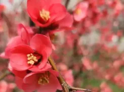 Весеннее равноденствие пройдет в Новороссийске без солнца