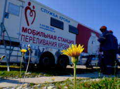 Сотрудники АО «Черномортранснефть» провели добровольческую акцию