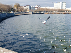Погода в Новороссийске: ветреная весна возвращается